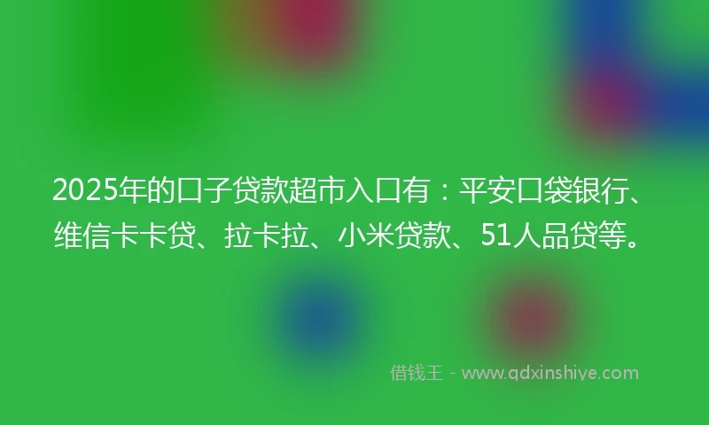 2025年的口子贷款超市入口有：平安口袋银行、维信卡卡贷、拉卡拉、小米贷款、51人品贷等。