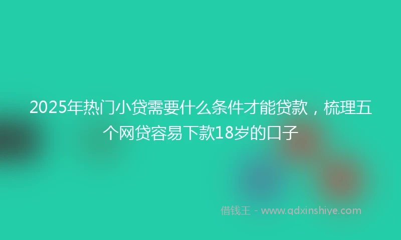 2025年热门小贷需要什么条件才能贷款，梳理五个网贷容易下款18岁的口子