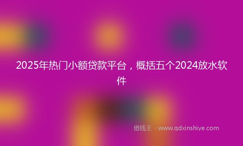 2025年热门小额贷款平台，概括五个2024放水软件
