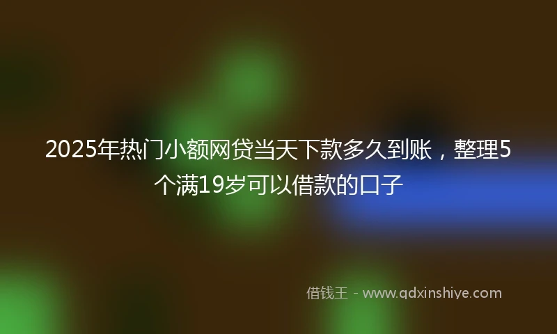 2025年热门小额网贷当天下款多久到账，整理5个满19岁可以借款的口子