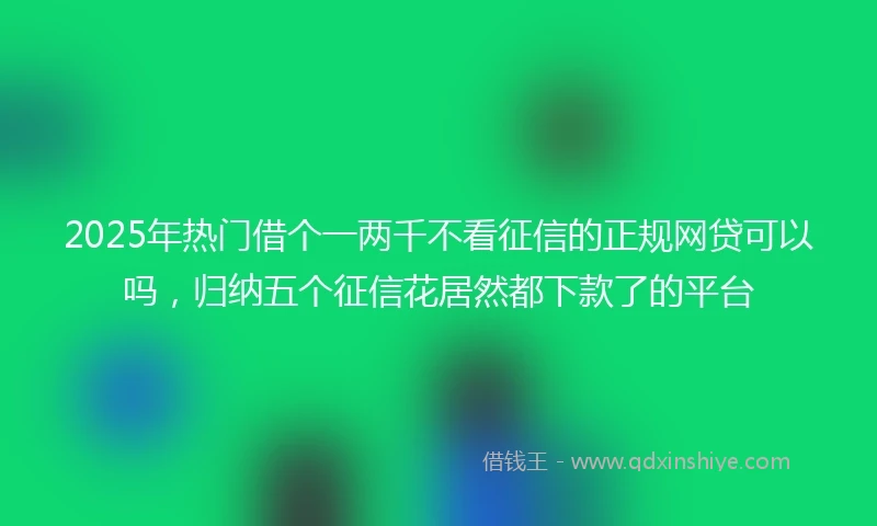 2025年热门借个一两千不看征信的正规网贷可以吗，归纳五个征信花居然都下款了的平台