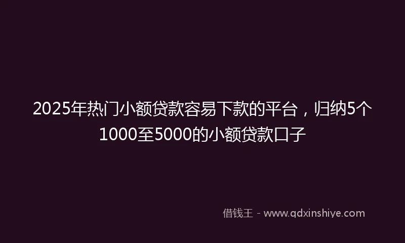 2025年热门小额贷款容易下款的平台，归纳5个1000至5000的小额贷款口子