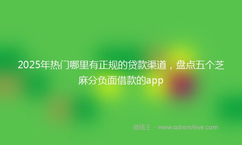 2025年热门哪里有正规的贷款渠道，盘点五个芝麻分负面借款的app