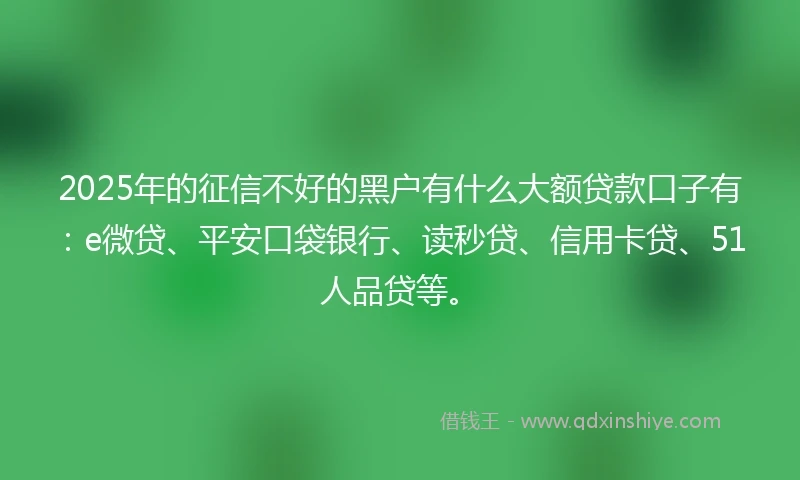 2025年的征信不好的黑户有什么大额贷款口子有：e微贷、平安口袋银行、读秒贷、信用卡贷、51人品贷等。