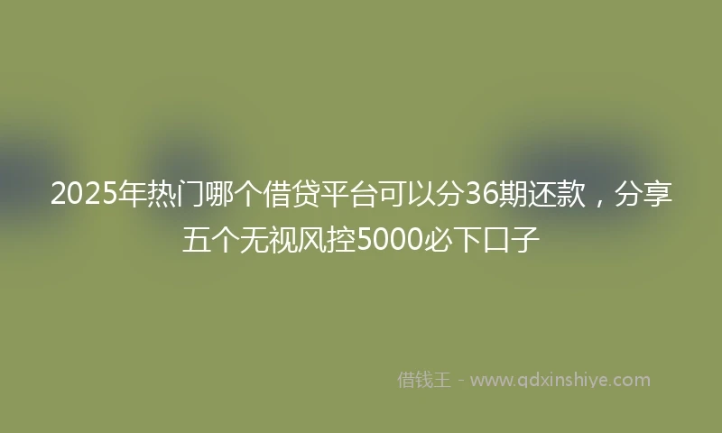 2025年热门哪个借贷平台可以分36期还款，分享五个无视风控5000必下口子