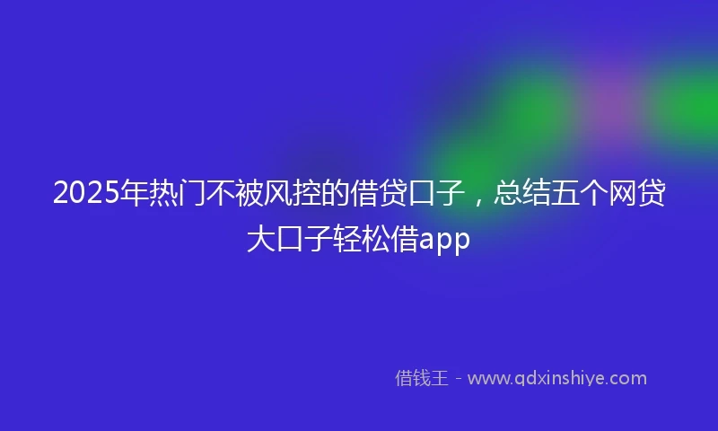 2025年热门不被风控的借贷口子，总结五个网贷大口子轻松借app