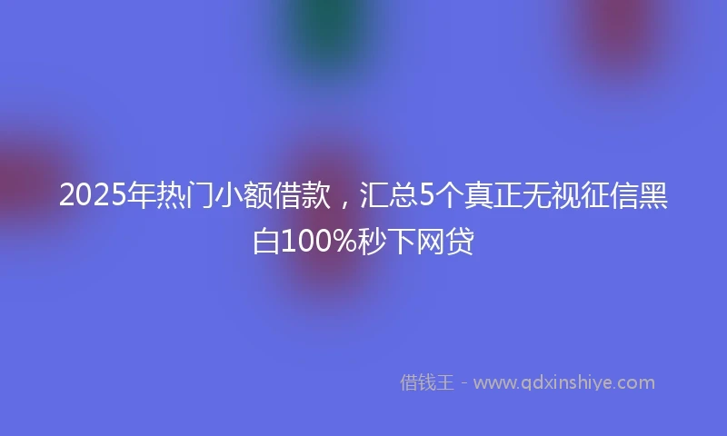 2025年热门小额借款，汇总5个真正无视征信黑白100%秒下网贷