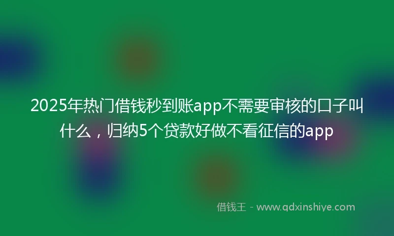 2025年热门借钱秒到账app不需要审核的口子叫什么，归纳5个贷款好做不看征信的app