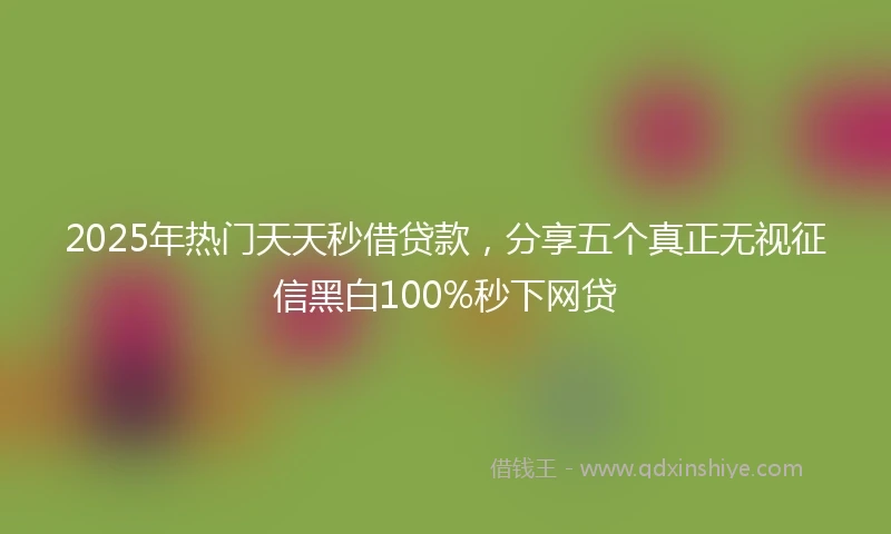 2025年热门天天秒借贷款，分享五个真正无视征信黑白100%秒下网贷