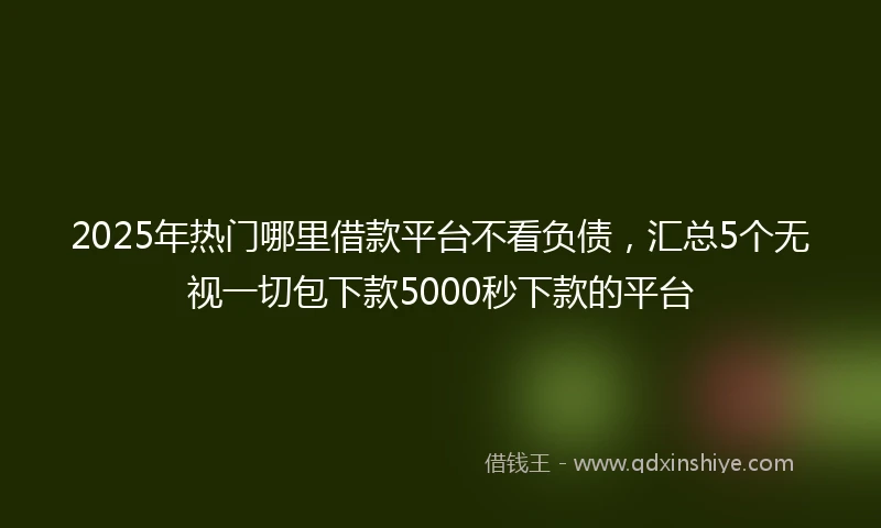 2025年热门哪里借款平台不看负债，汇总5个无视一切包下款5000秒下款的平台