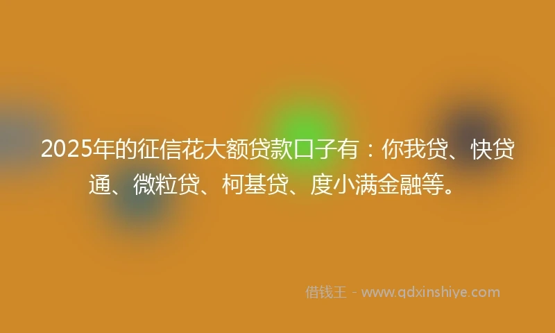 2025年的征信花大额贷款口子有：你我贷、快贷通、微粒贷、柯基贷、度小满金融等。