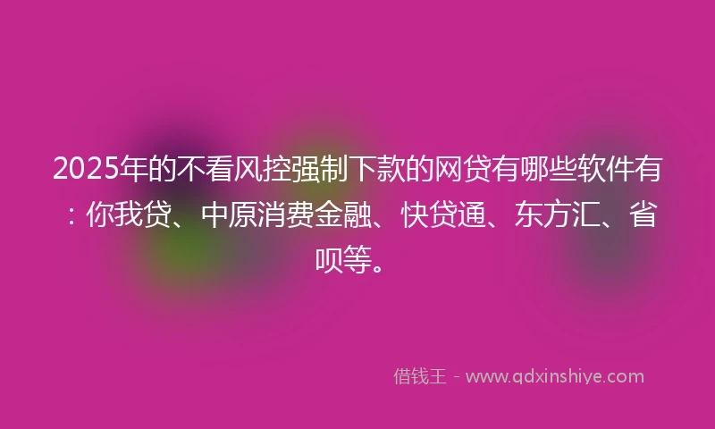 2025年的不看风控强制下款的网贷有哪些软件有：你我贷、中原消费金融、快贷通、东方汇、省呗等。
