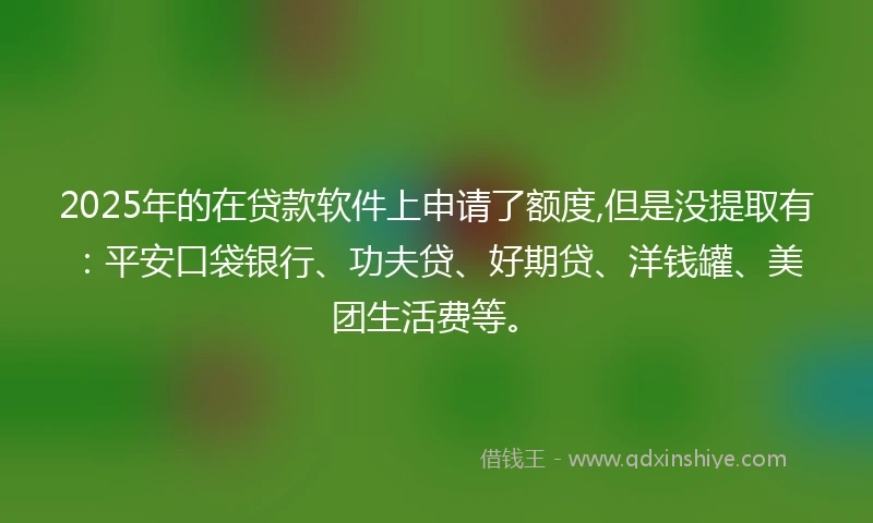 2025年的在贷款软件上申请了额度,但是没提取有：平安口袋银行、功夫贷、好期贷、洋钱罐、美团生活费等。
