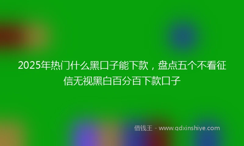 2025年热门什么黑口子能下款，盘点五个不看征信无视黑白百分百下款口子