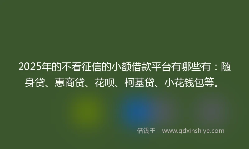 2025年的不看征信的小额借款平台有哪些有：随身贷、惠商贷、花呗、柯基贷、小花钱包等。