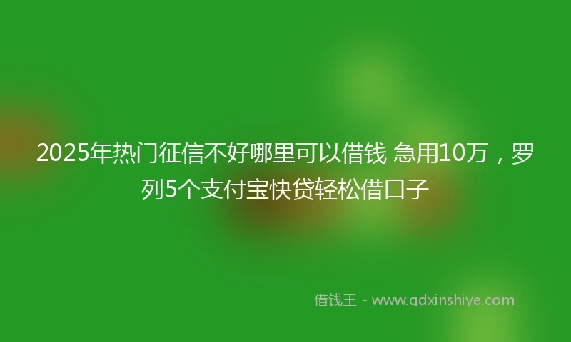 2025年热门征信不好哪里可以借钱 急用10万，罗列5个支付宝快贷轻松借口子