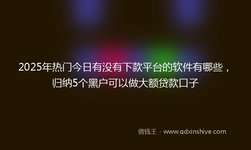 2025年热门今日有没有下款平台的软件有哪些，归纳5个黑户可以做大额贷款口子