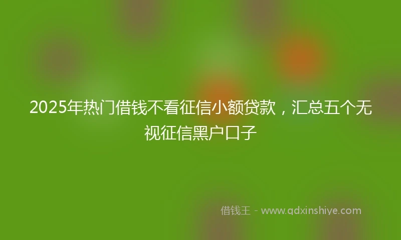 2025年热门借钱不看征信小额贷款，汇总五个无视征信黑户口子