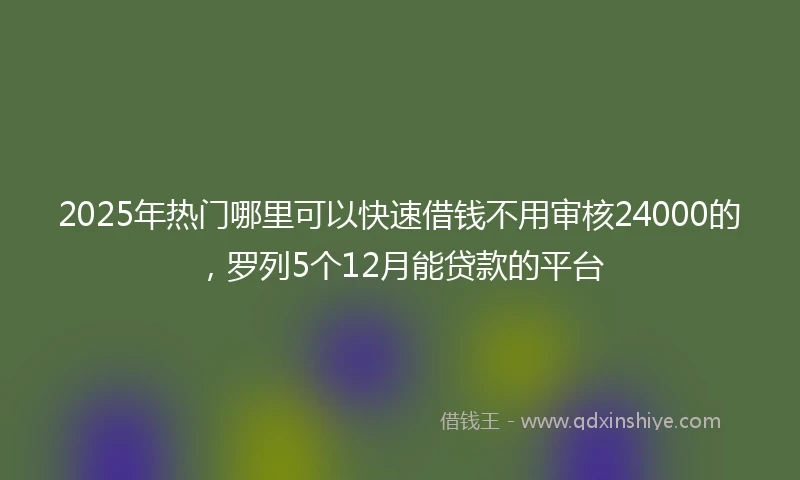2025年热门哪里可以快速借钱不用审核24000的，罗列5个12月能贷款的平台