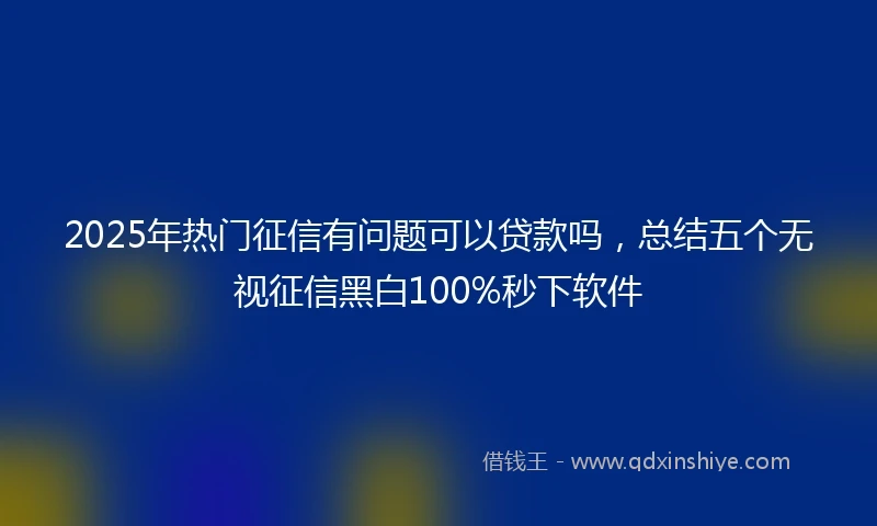 2025年热门征信有问题可以贷款吗，总结五个无视征信黑白100%秒下软件