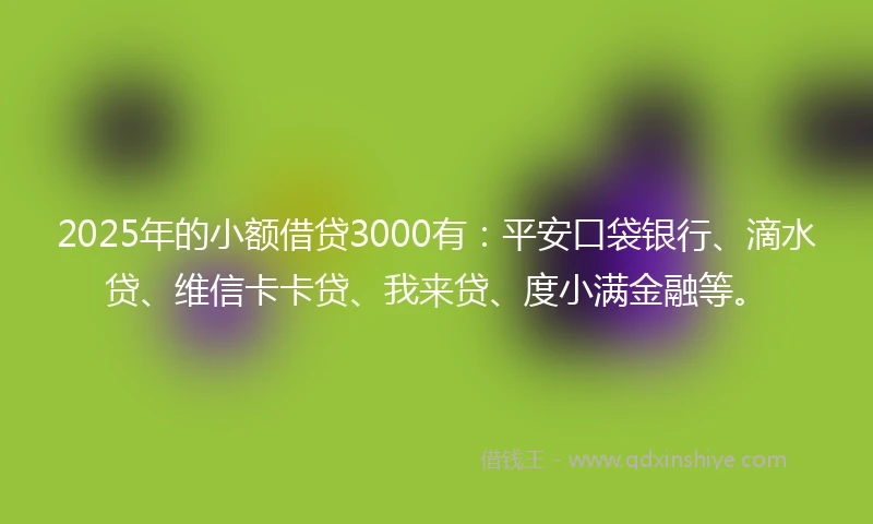 2025年的小额借贷3000有：平安口袋银行、滴水贷、维信卡卡贷、我来贷、度小满金融等。