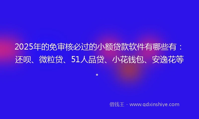 2025年的免审核必过的小额贷款软件有哪些有：还呗、微粒贷、51人品贷、小花钱包、安逸花等。