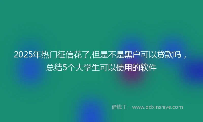 2025年热门征信花了,但是不是黑户可以贷款吗，总结5个大学生可以使用的软件
