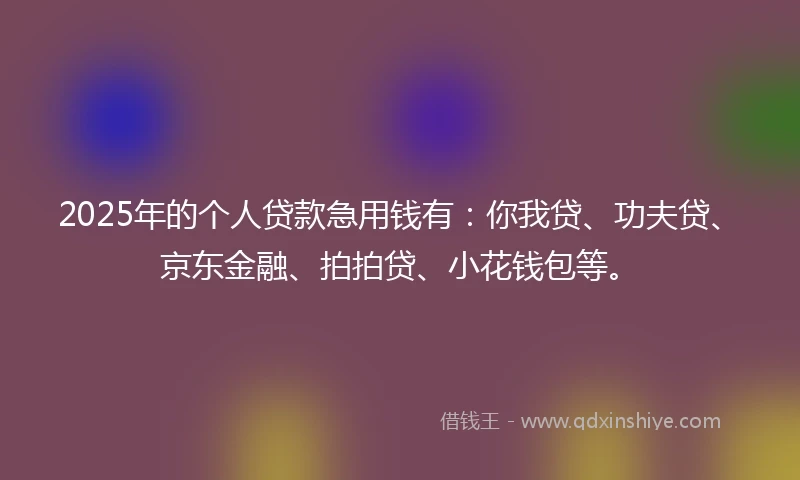2025年的个人贷款急用钱有：你我贷、功夫贷、京东金融、拍拍贷、小花钱包等。