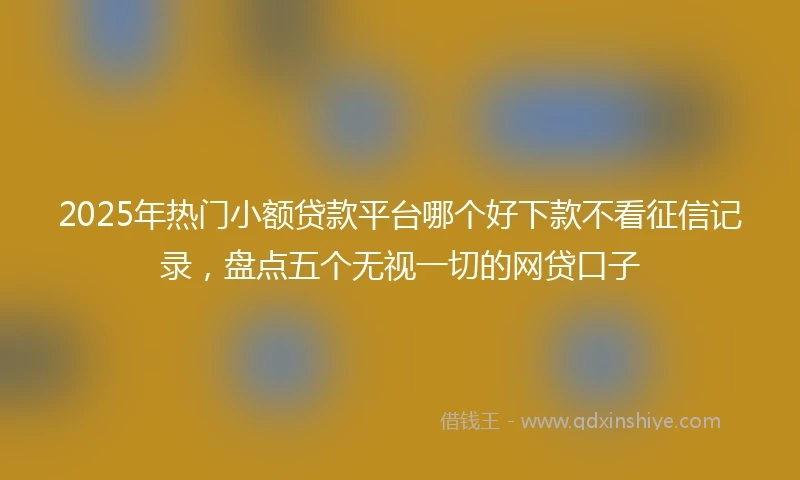 2025年热门小额贷款平台哪个好下款不看征信记录，盘点五个无视一切的网贷口子