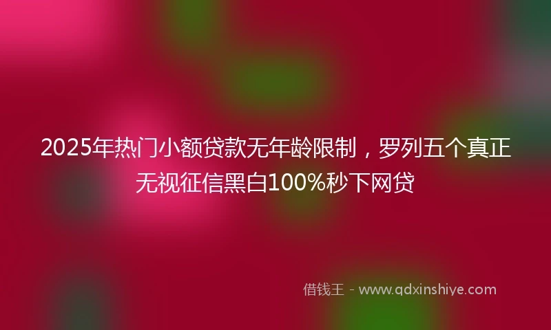 2025年热门小额贷款无年龄限制，罗列五个真正无视征信黑白100%秒下网贷