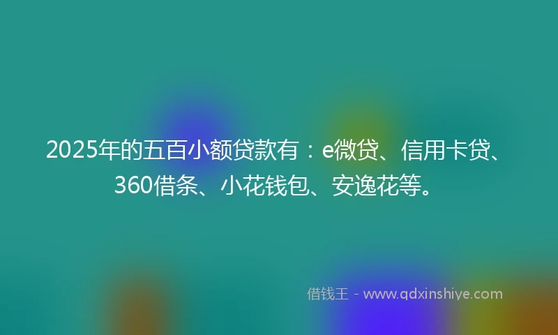2025年的五百小额贷款有：e微贷、信用卡贷、360借条、小花钱包、安逸花等。