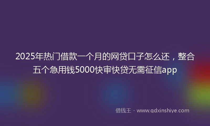 2025年热门借款一个月的网贷口子怎么还，整合五个急用钱5000快审快贷无需征信app