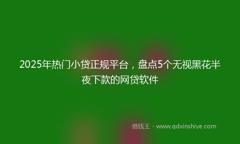 2025年热门小贷正规平台，盘点5个无视黑花半夜下款的网贷软件