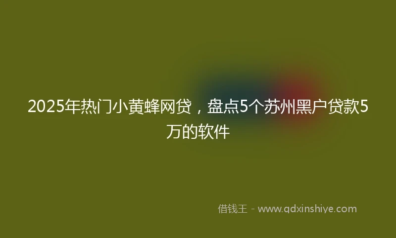 2025年热门小黄蜂网贷，盘点5个苏州黑户贷款5万的软件