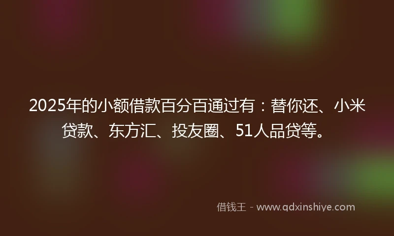 2025年的小额借款百分百通过有：替你还、小米贷款、东方汇、投友圈、51人品贷等。