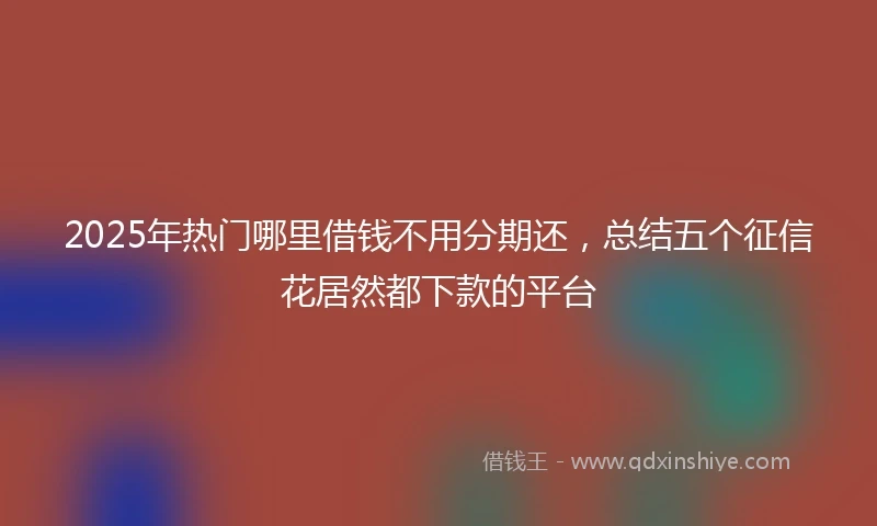 2025年热门哪里借钱不用分期还，总结五个征信花居然都下款的平台