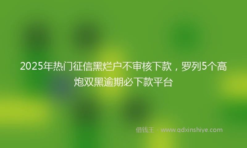 2025年热门征信黑烂户不审核下款，罗列5个高炮双黑逾期必下款平台