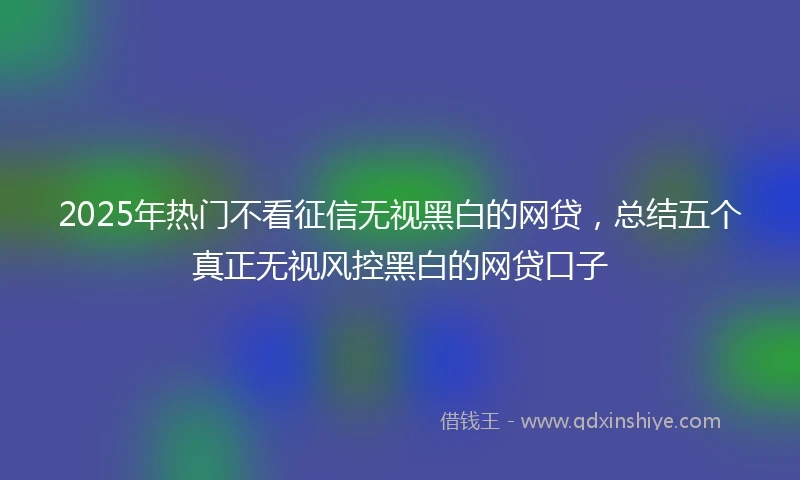 2025年热门不看征信无视黑白的网贷，总结五个真正无视风控黑白的网贷口子