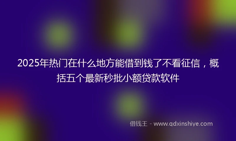 2025年热门在什么地方能借到钱了不看征信，概括五个最新秒批小额贷款软件