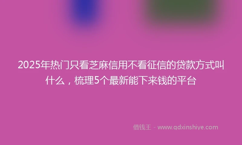 2025年热门只看芝麻信用不看征信的贷款方式叫什么，梳理5个最新能下来钱的平台