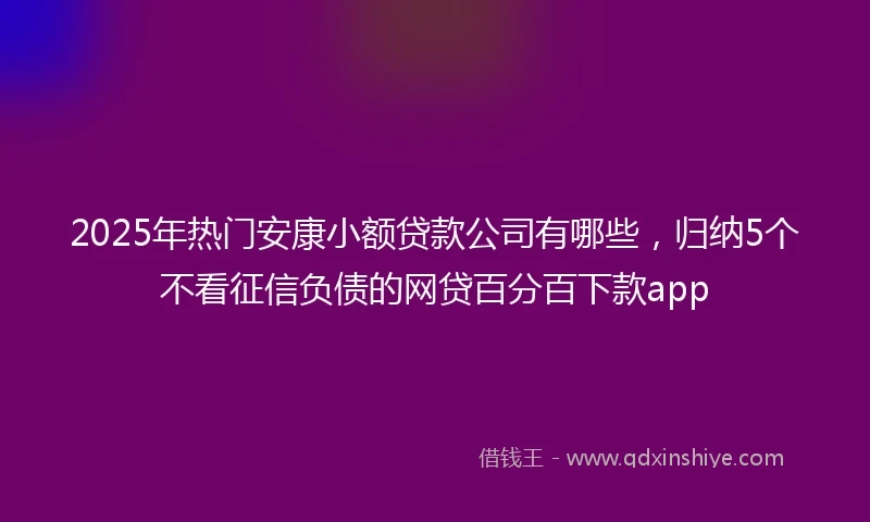 2025年热门安康小额贷款公司有哪些，归纳5个不看征信负债的网贷百分百下款app