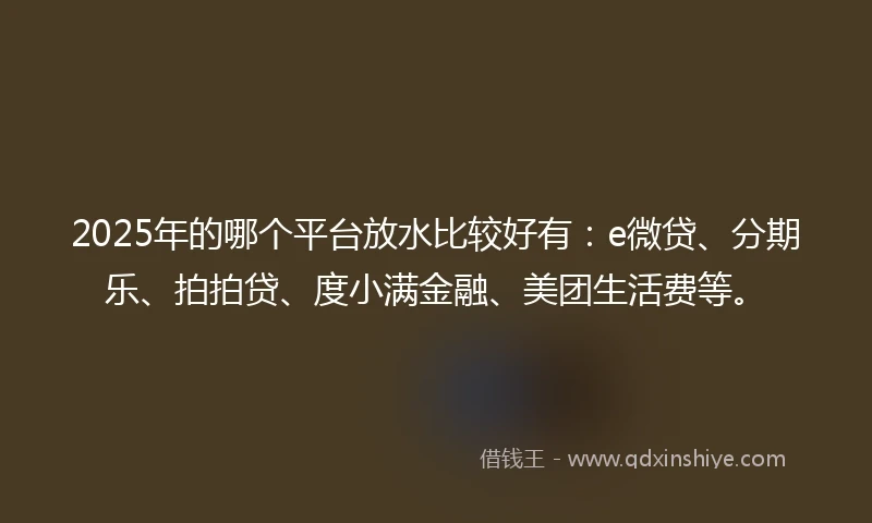 2025年的哪个平台放水比较好有：e微贷、分期乐、拍拍贷、度小满金融、美团生活费等。