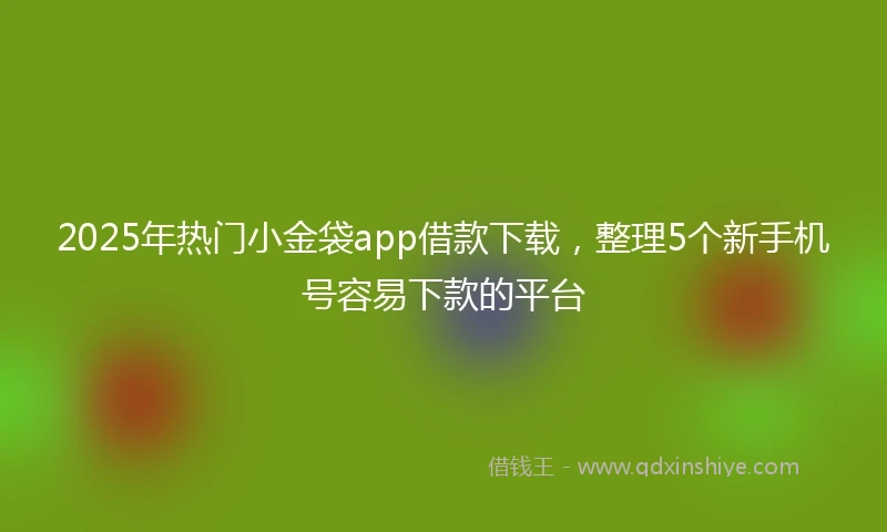 2025年热门小金袋app借款下载，整理5个新手机号容易下款的平台