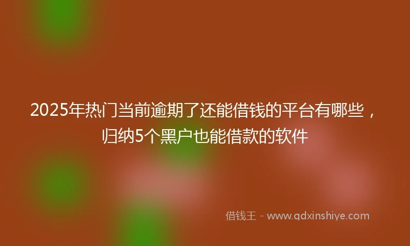 2025年热门当前逾期了还能借钱的平台有哪些，归纳5个黑户也能借款的软件