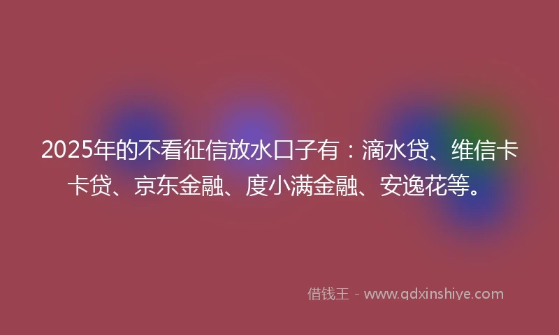 2025年的不看征信放水口子有：滴水贷、维信卡卡贷、京东金融、度小满金融、安逸花等。