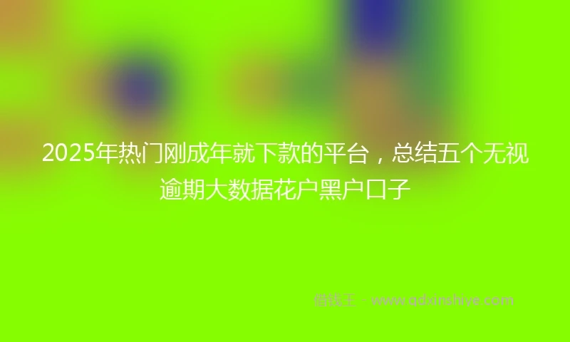 2025年热门刚成年就下款的平台，总结五个无视逾期大数据花户黑户口子