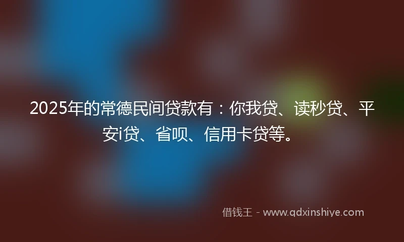 2025年的常德民间贷款有：你我贷、读秒贷、平安i贷、省呗、信用卡贷等。
