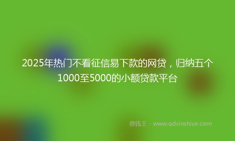 2025年热门不看征信易下款的网贷，归纳五个1000至5000的小额贷款平台
