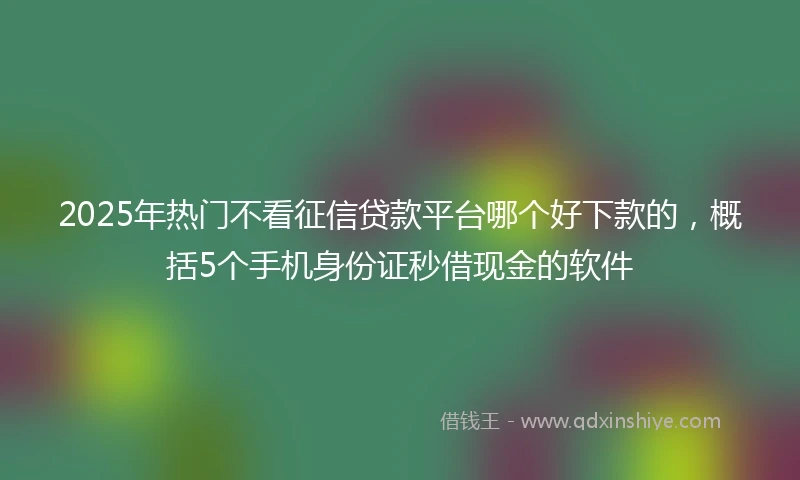 2025年热门不看征信贷款平台哪个好下款的，概括5个手机身份证秒借现金的软件