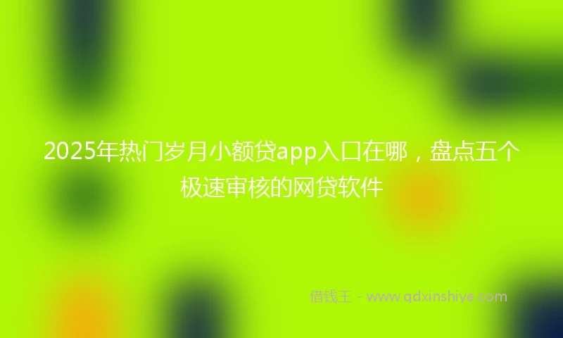 2025年热门岁月小额贷app入口在哪，盘点五个极速审核的网贷软件